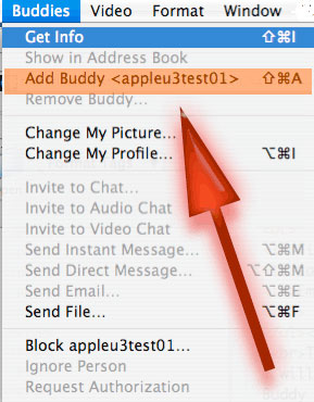 Add Buddy from Buddies Menu