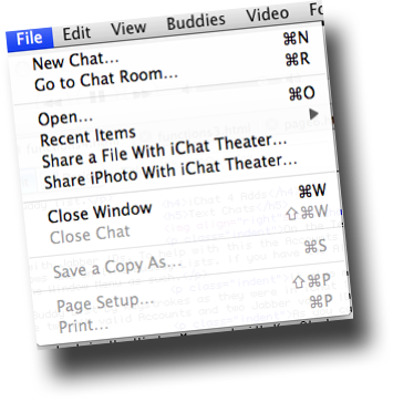 File Menu